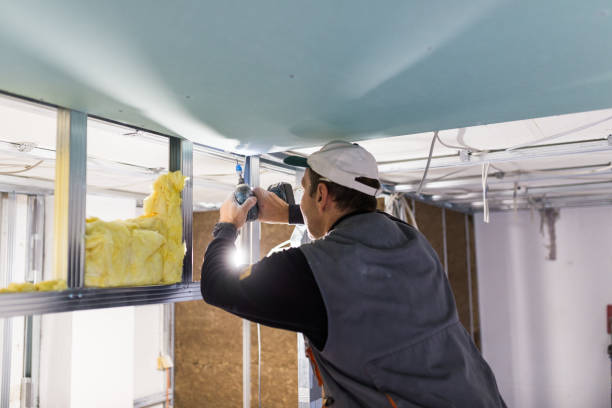 Best Commercial Insulation in Woodall, OK