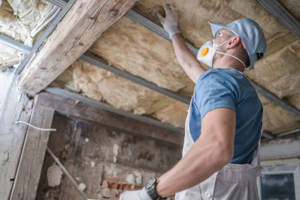 Best Residential Insulation in Woodall, OK